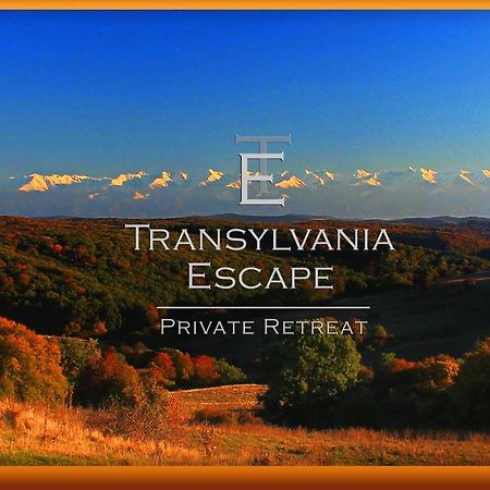 Transylvania Escape Apartment Richisu Luaran gambar
