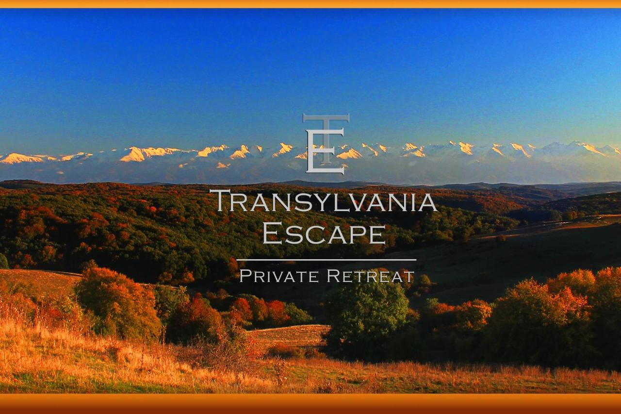 Transylvania Escape Apartment Richisu Luaran gambar
