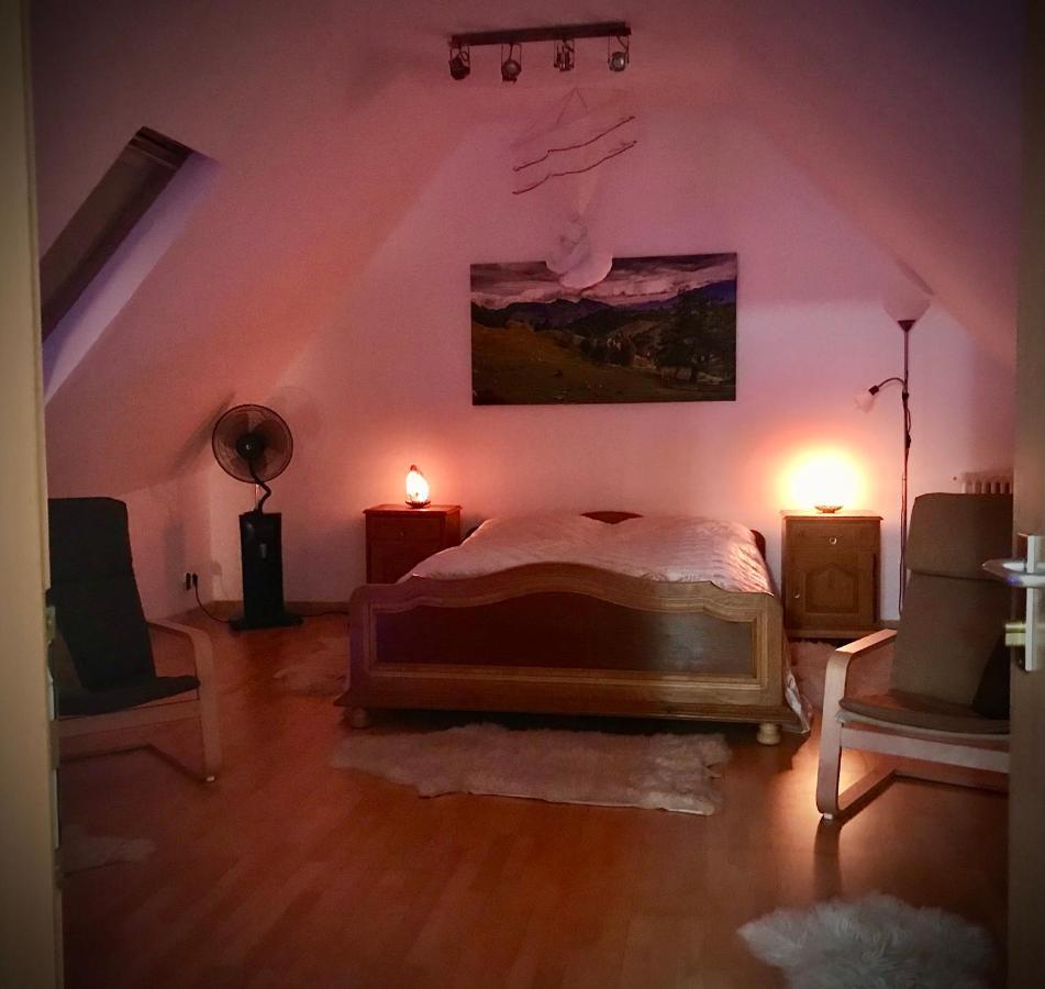 Transylvania Escape Apartment Richisu Luaran gambar